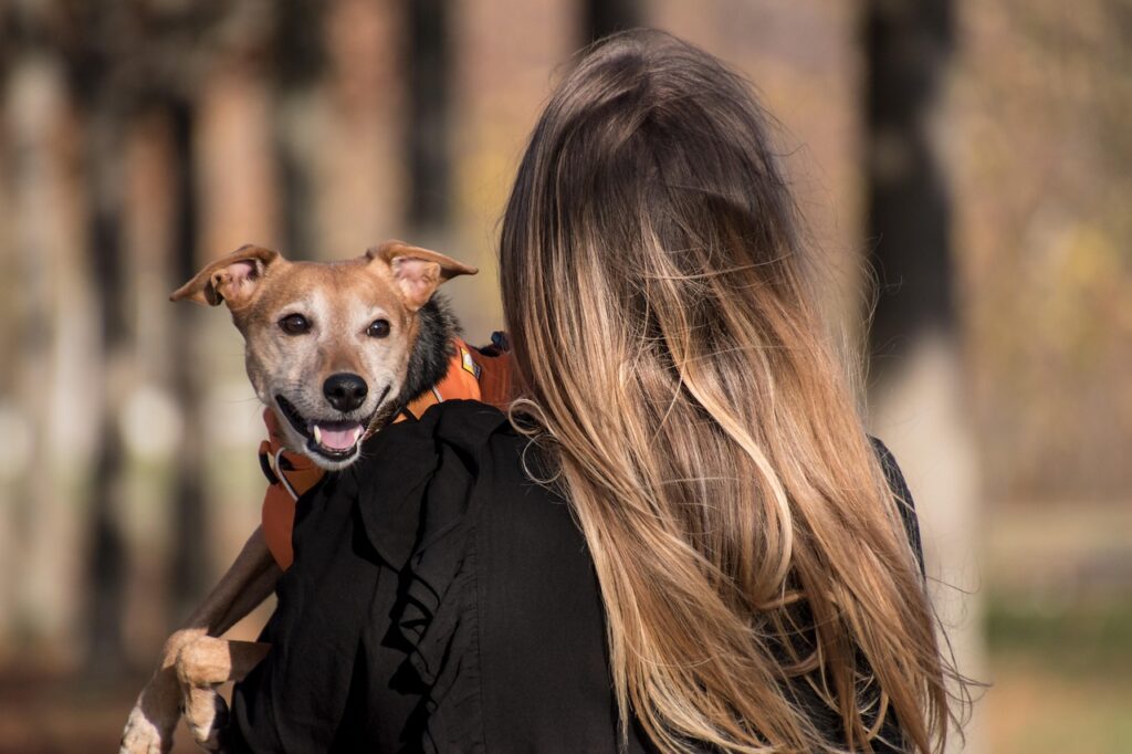 flea treatment to keep family and pets safe